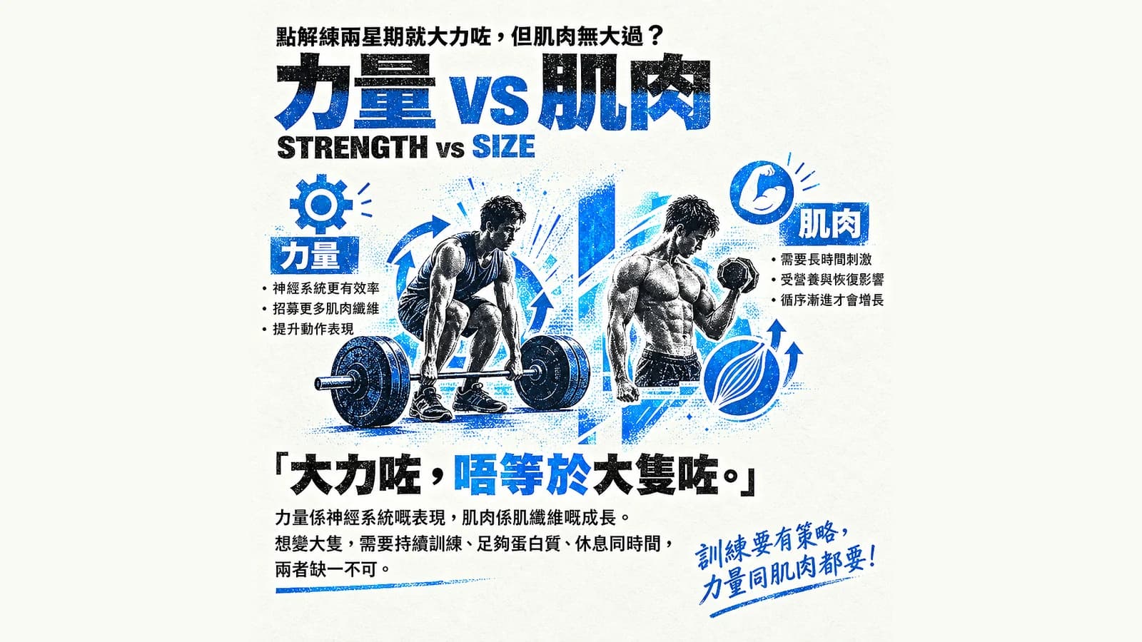 力量 vs 肌肉：點解練兩星期就大力咗，但肌肉無大過？